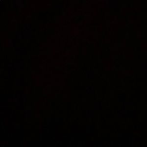 Meet your Posher, Shawn